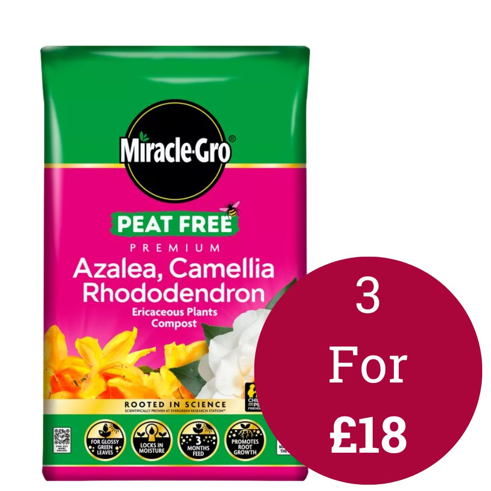 Miracle-Gro Ericaceous Peat-Free Compost